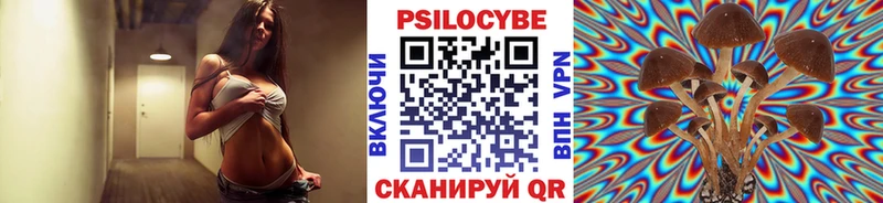 kraken как войти  Кудымкар  Псилоцибиновые грибы ЛСД 